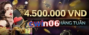 cwin06