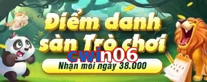 cwin06